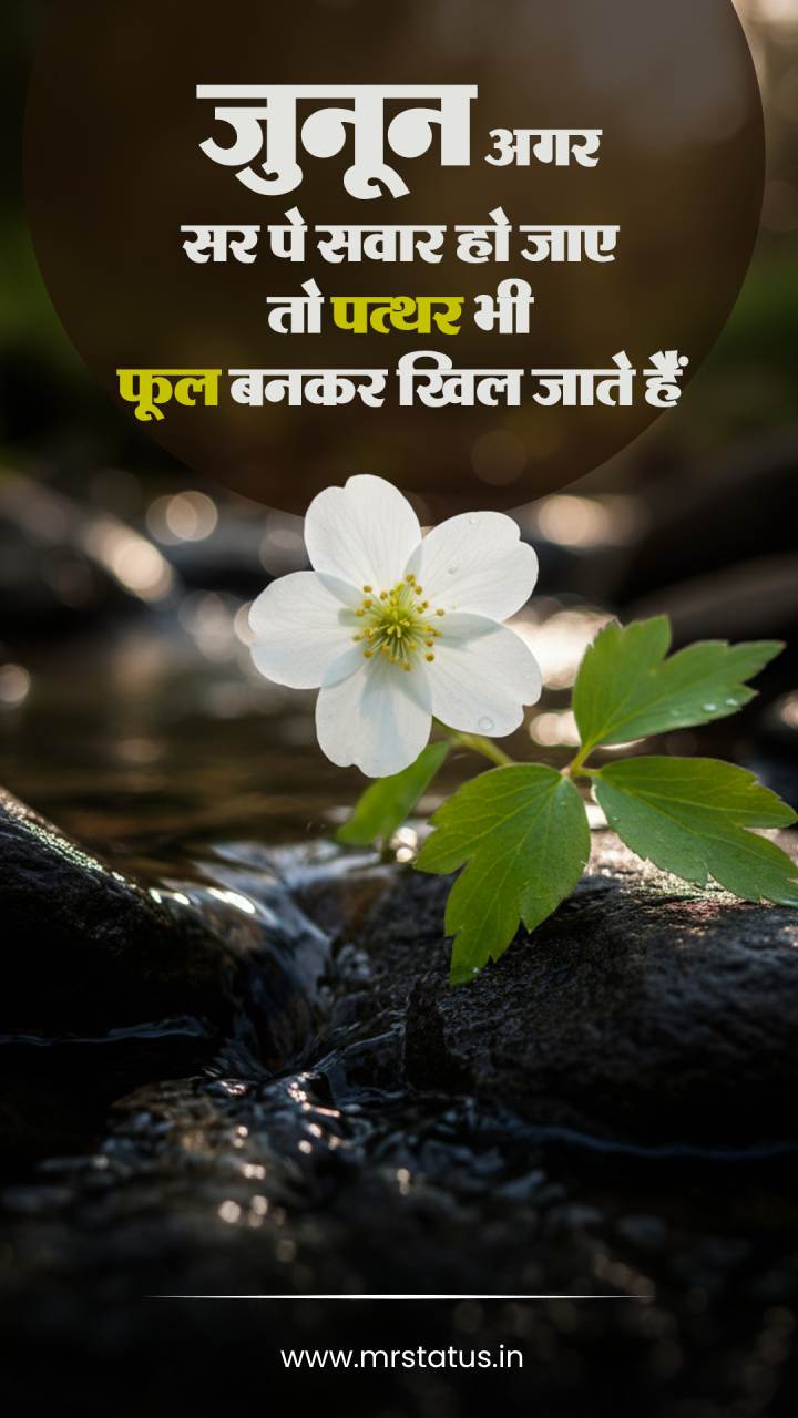 Download free status image